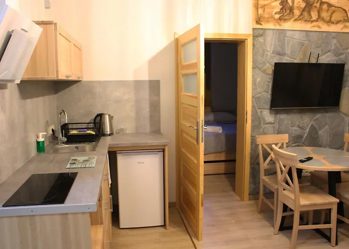 Pod Niedzwiedziem Centrum Ii アパート *