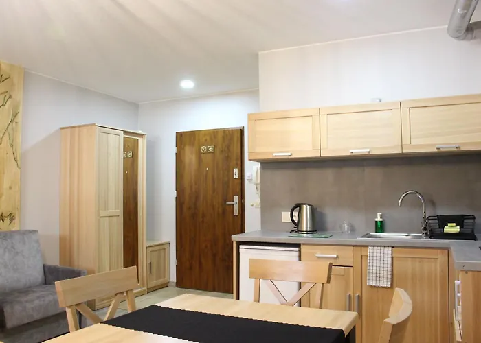 アパート Pod Niedzwiedziem Centrum Ii ザコパネ