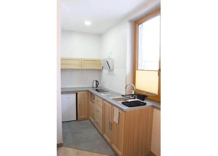 Pod Niedzwiedziem Centrum Ii アパート ザコパネ