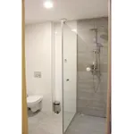 Pod Niedzwiedziem Centrum Ii * Zakopane