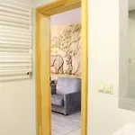 Pod Niedzwiedziem Centrum Ii Apartment Zakopane