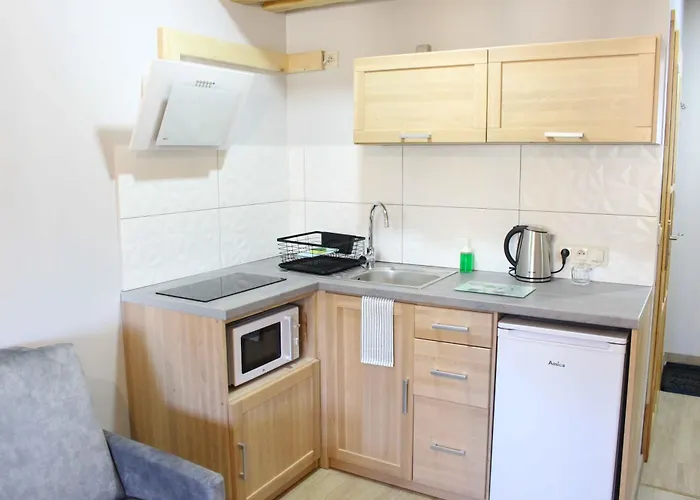 Appartement Pod Niedzwiedziem Centrum Ii *